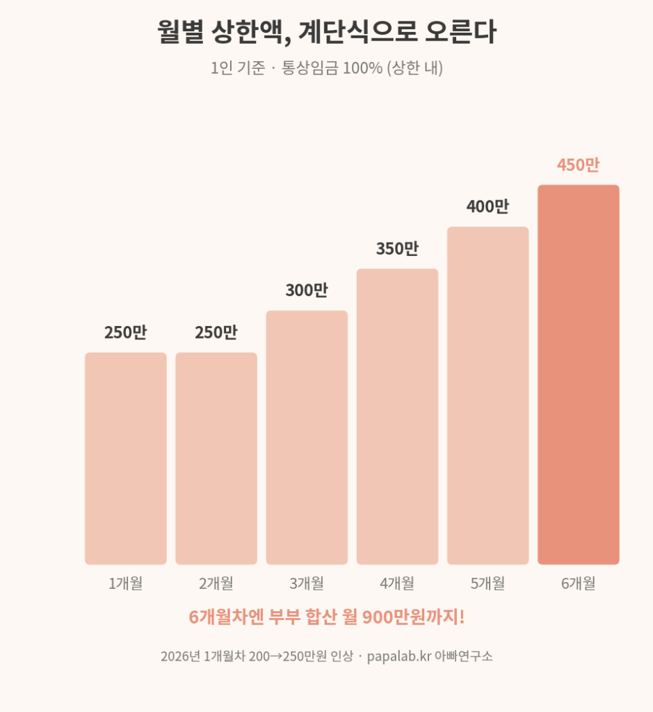 월별 상한액