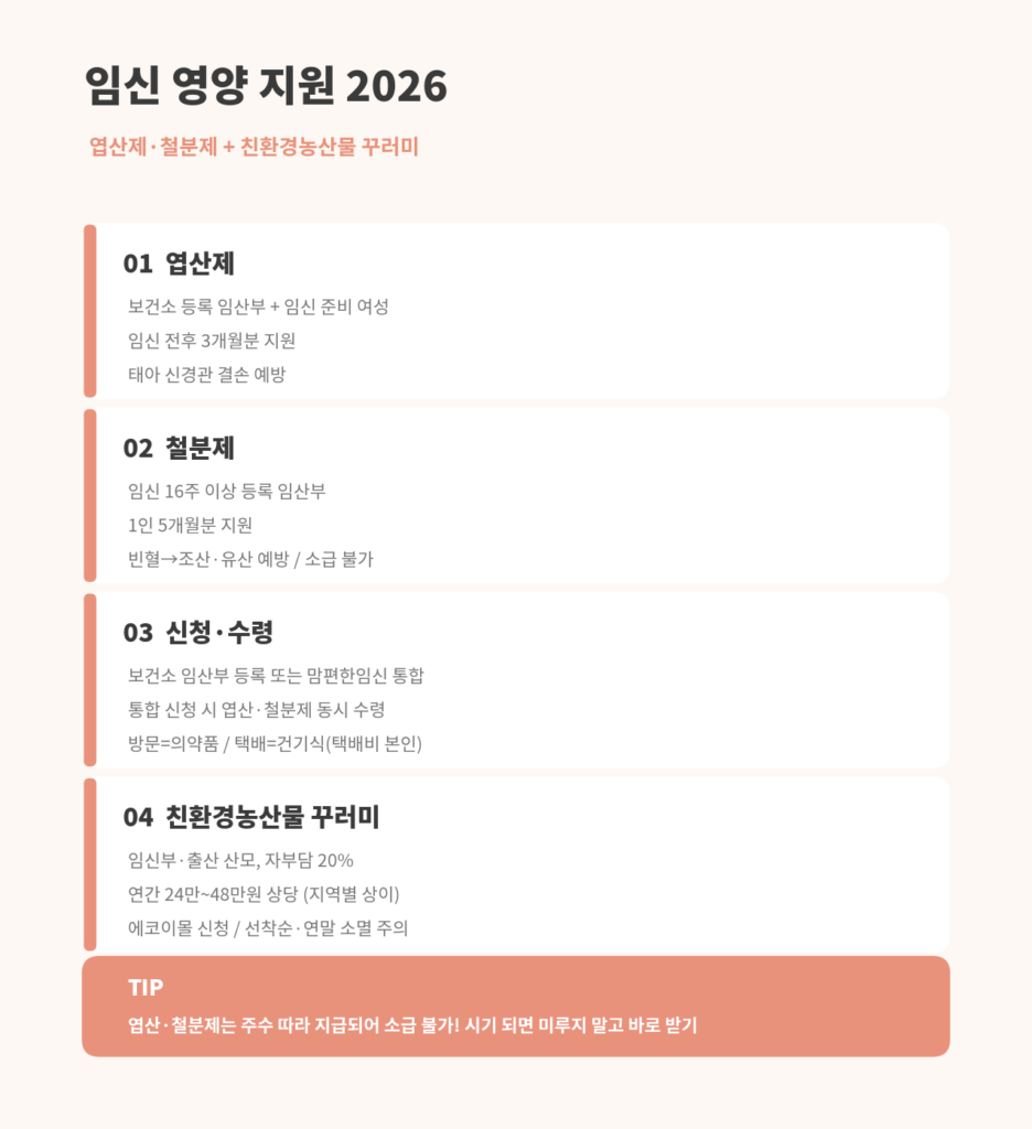 엽산제 철분제